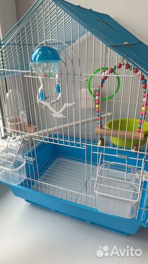 Клетка для птиц