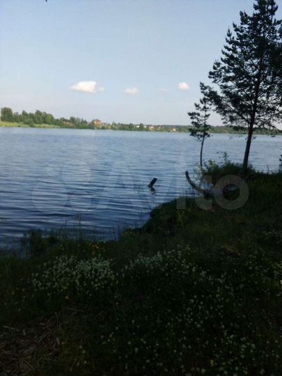 Участок 15 га (СНТ, ДНП)