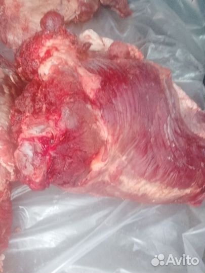 Мясо говядина