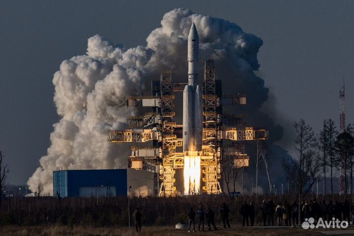 Щенки с Космодрома