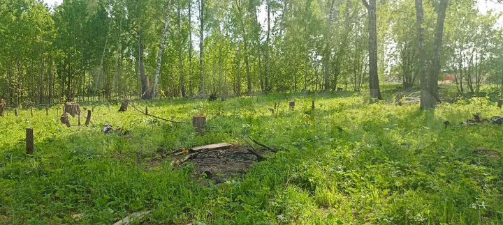 Участок 11,5 сот. (СНТ, ДНП)