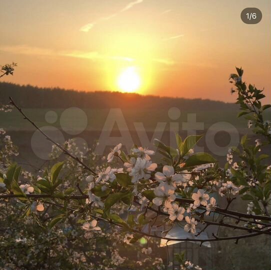 Дача 30 м² на участке 9 сот.