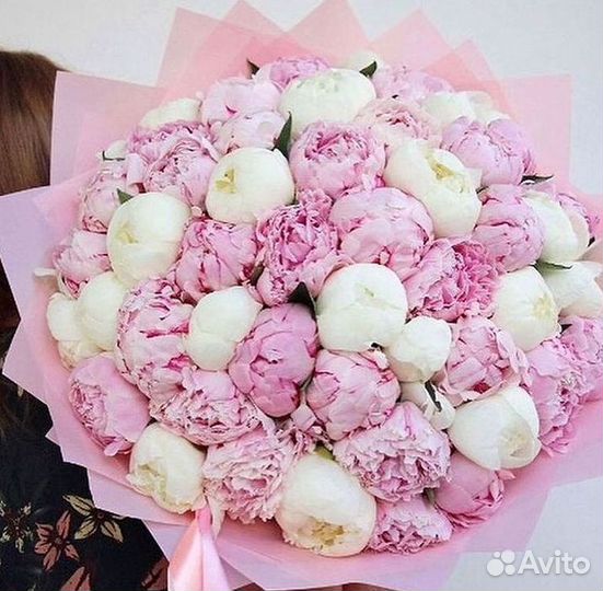 Пионы Букет пионов