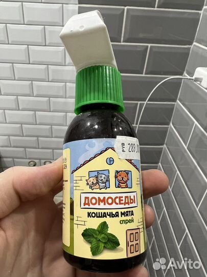 Свитер свитшот и Кашачья мята