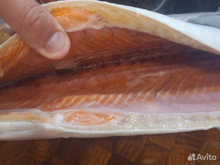 Рыба Кижуч и Нерка дальневосточный