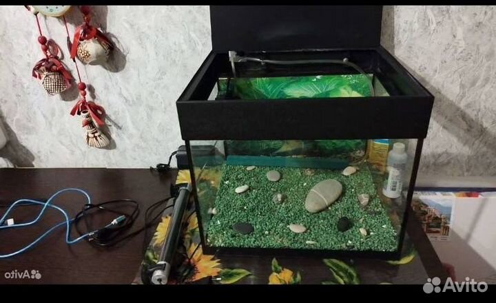 Аквариум для рыб 5 литров со всем содержимым