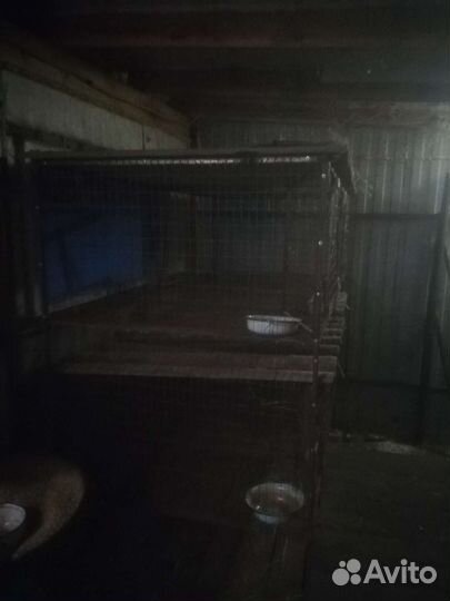 Клетка для кролика