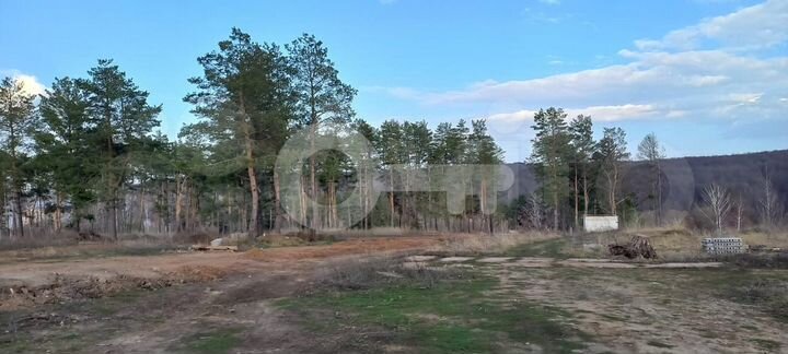 Участок 10 сот. (ИЖС)