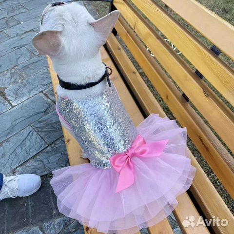 Платье для собаки (кошки) размер XL