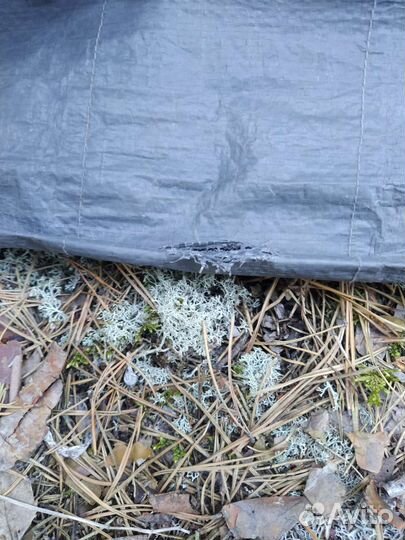 Палатка кемпинговая четырехместная