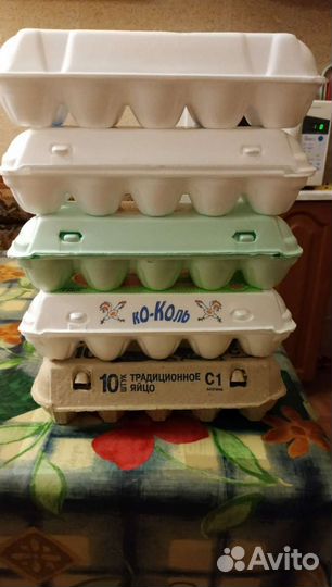 Контейнер для яиц Бесплатно