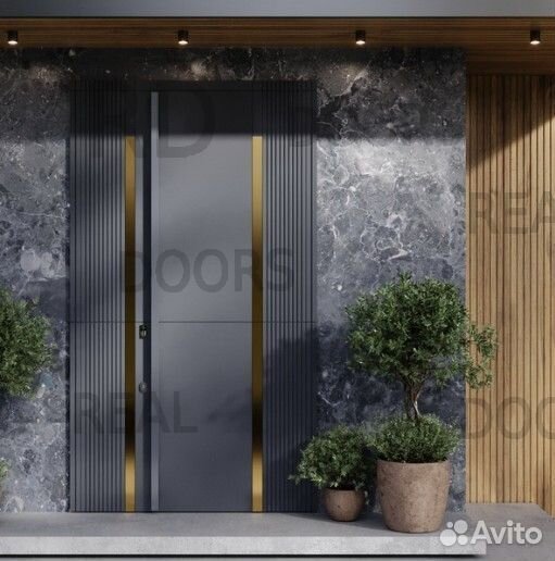 Дизайнерская металлическая дверь для частного дома