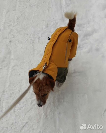 Теплая одежда (куртка, комбинезон) для собак