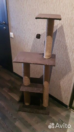 Когтеточки