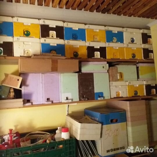 Продается пасека