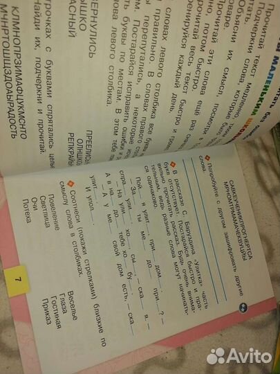 Рабочие тетради Литературное чтение и Русский язык