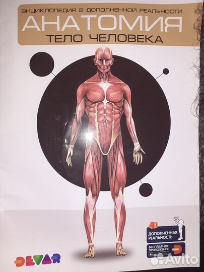 Энциклопедии различные