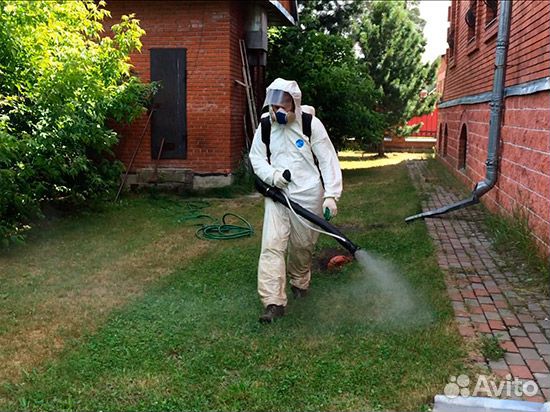 Обработка от клещей/уничтожение насекомых