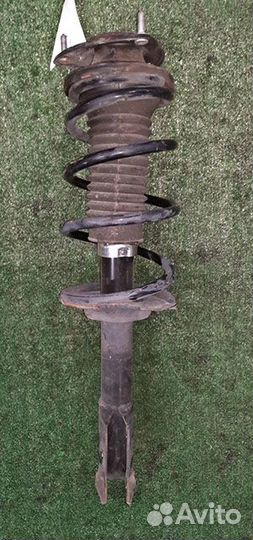 Амортизатор подвески передний Toyota Succeed