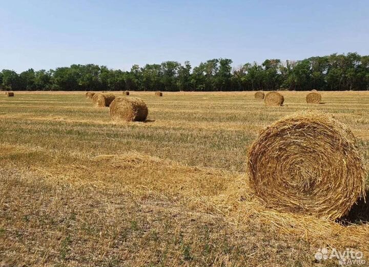 Солома в рулонах