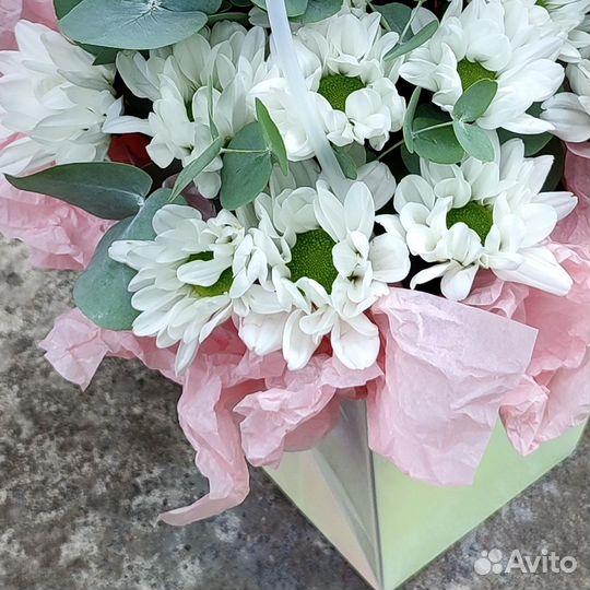 Цветы в плайм-пакете 222