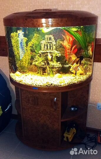 Продам Аквариум jtbo R790