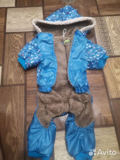 Комбинезон для маленькой собаки мальчик