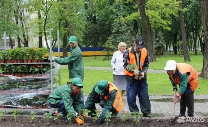 Услуги Разнорабочих Грузчиков и Благоустройство