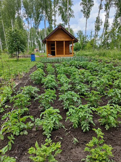 Дача 28 м² на участке 9,6 сот.