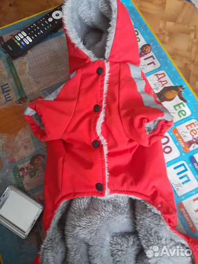 Зимний комбинезон для маленькой собаки