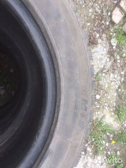 Collins WINTER EXTREMA 205/55 R16