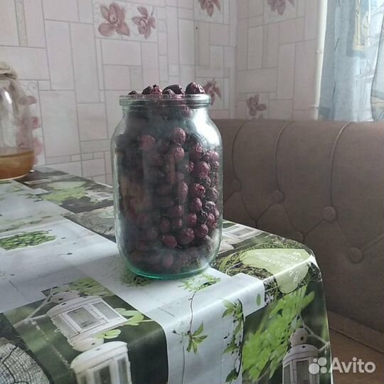 Мед Алтайский, Прополис