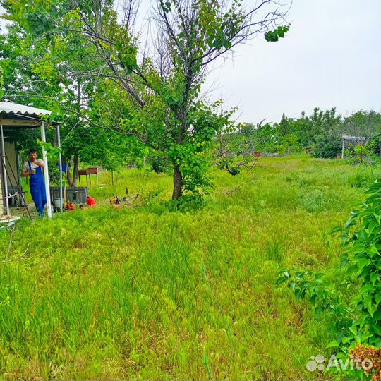 Уборка участков/Спил/Измельчение/Корчевание и тд