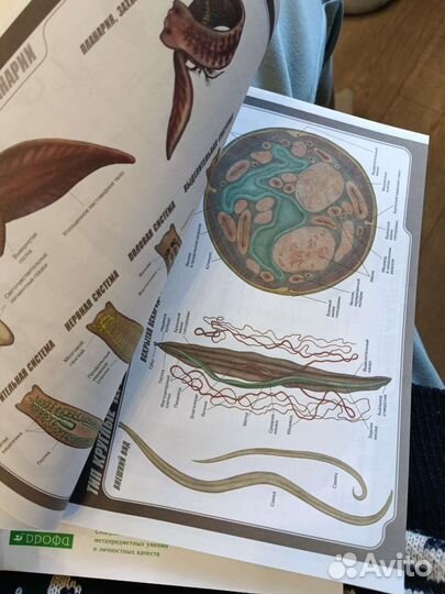 Рабочая тетрадь биология 7 класс