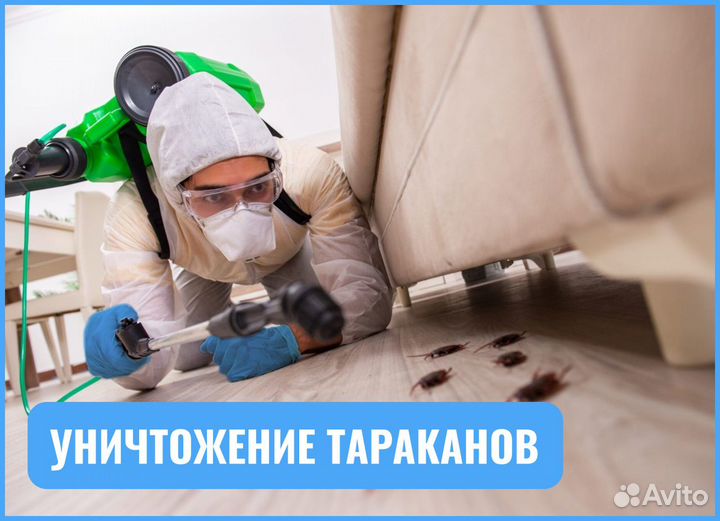 Уничтожение клопов, Травля тараканов, Дезинфекция