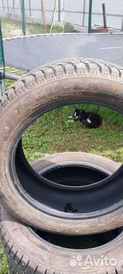 Formula Ice 20.5/50 R17