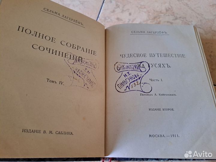 Чудесное путешествие на гусях (Нильс)