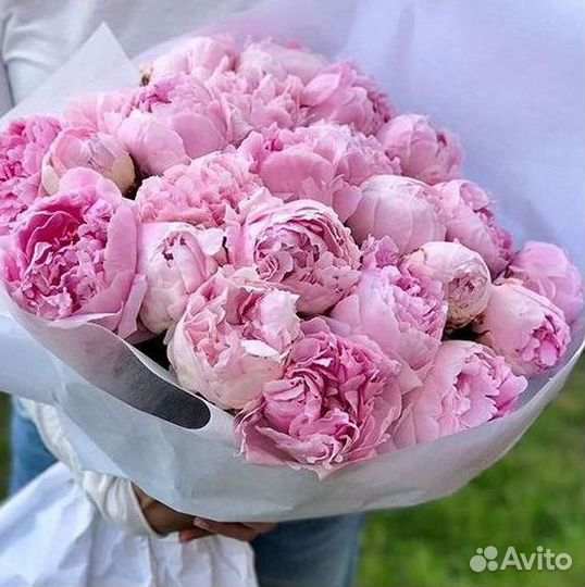 Пионы Букет