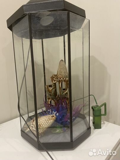 Аквариум для рыбок