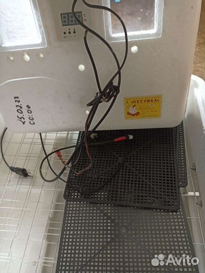 Инкубатор для яиц автоматический бу