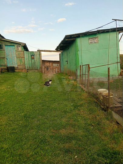 Дом 60,3 м² на участке 60 сот.