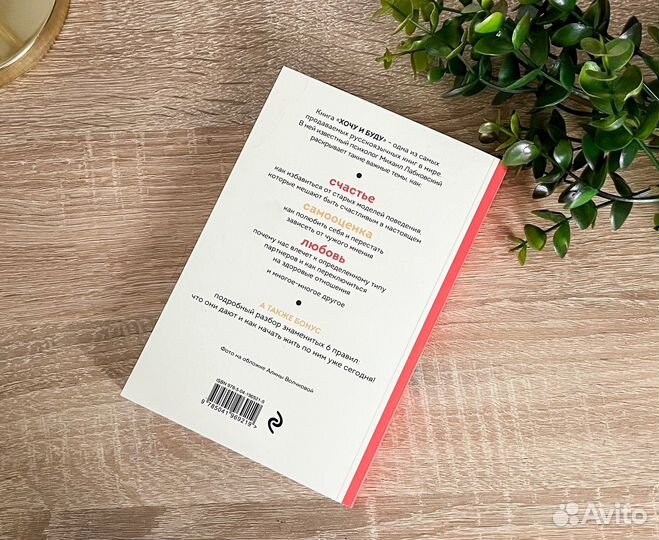 Книга Михаил Лабковский 