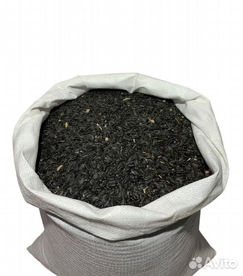 Семечка подсолнечника