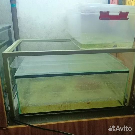 Стеллаж с аквариумами