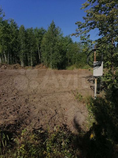 Участок 20 сот. (СНТ, ДНП)