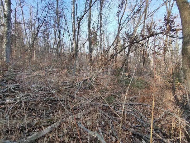 Участок 11,7 сот. (ИЖС)