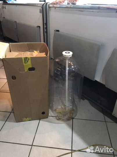 Кега пивная 30л пластиковая пэт