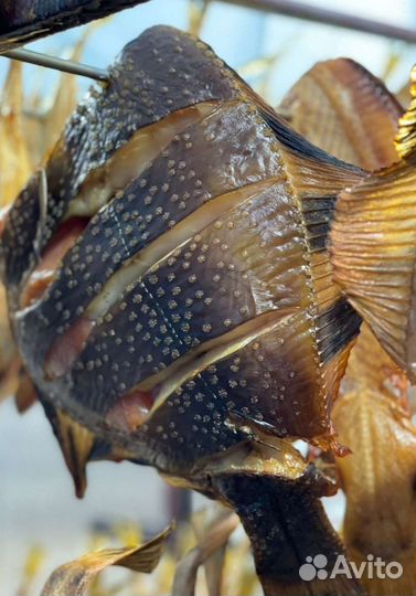 Рыба копчёная