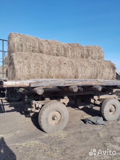Продам сено в рулонах