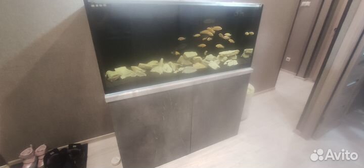 Аквариум с тумбой